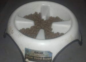Trey's Slow Feed Bowl