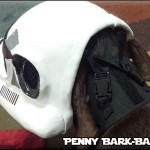 Back of Helmet